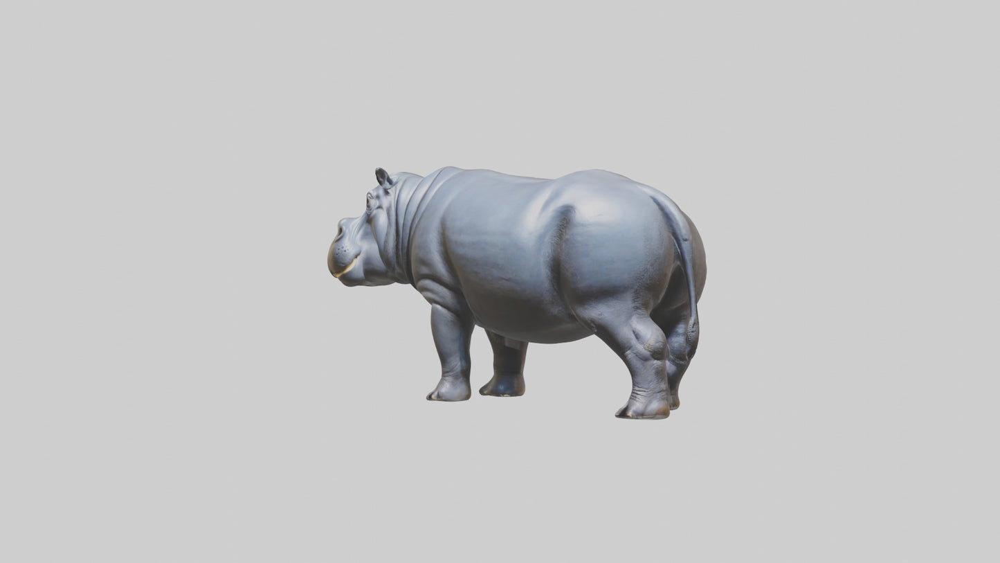 3D model Hippopotamus statue model VR / AR / low-poly