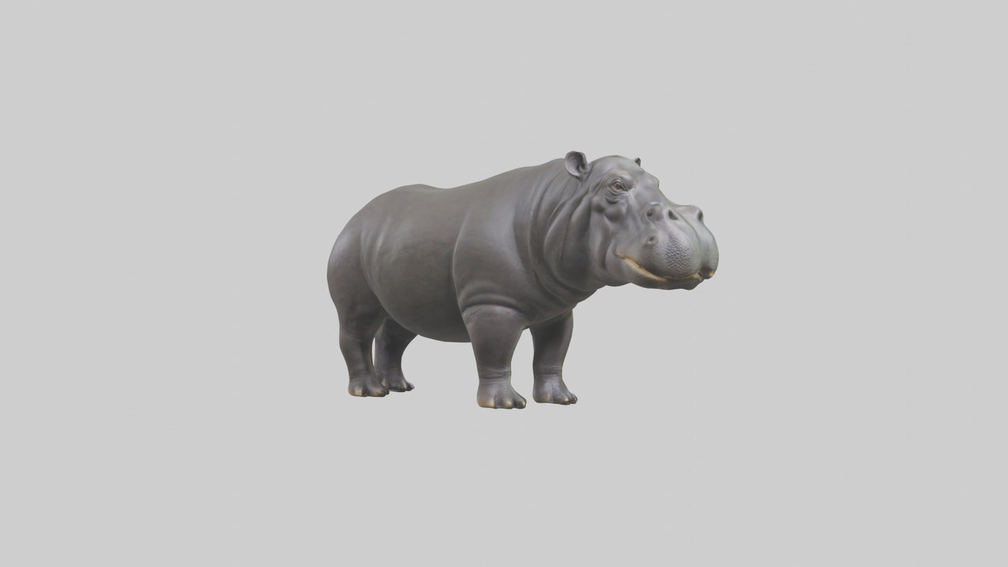 3D model Hippopotamus statue model VR / AR / low-poly
