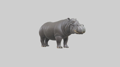 3D model Hippopotamus statue model VR / AR / low-poly