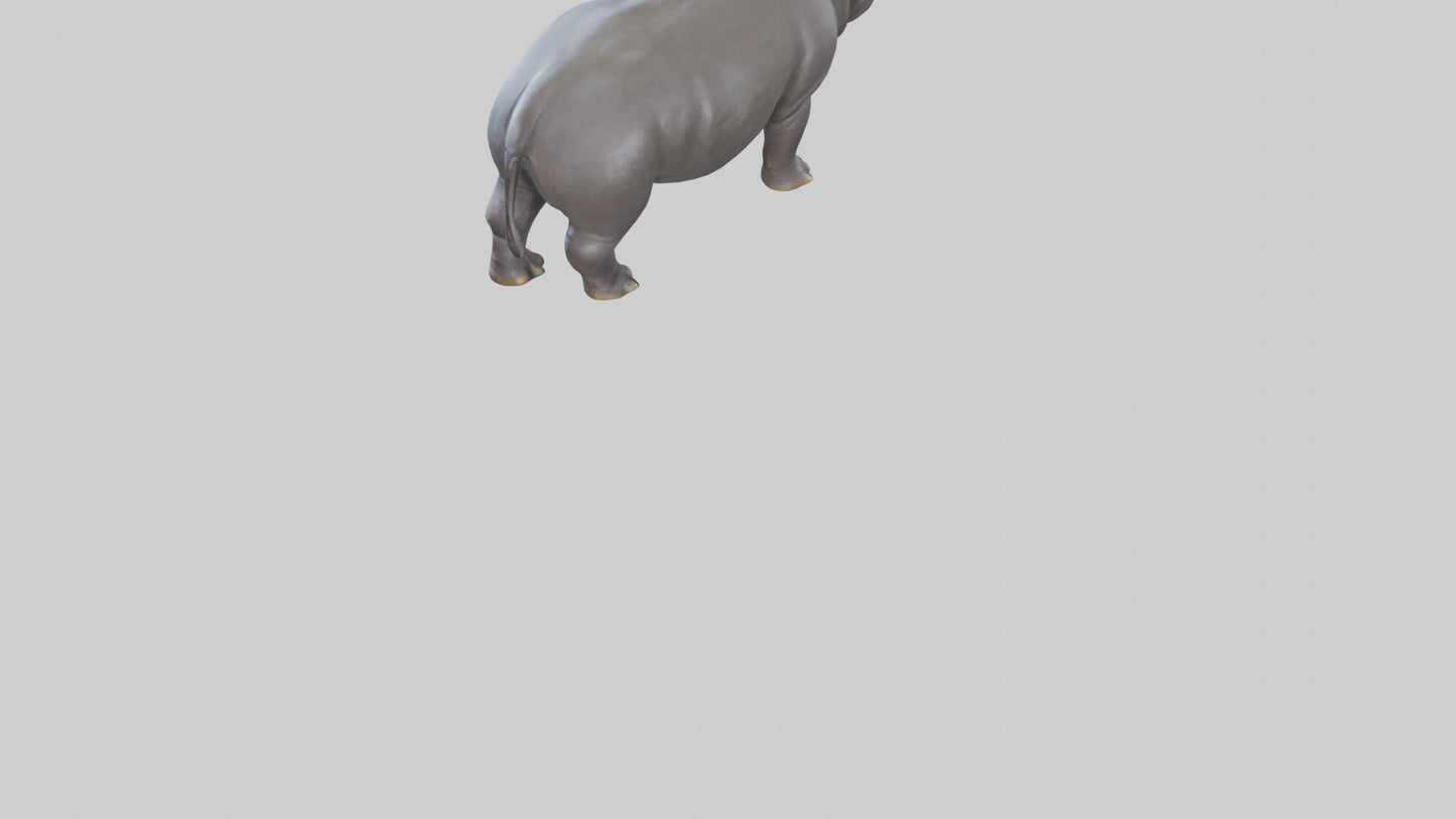 3D model Hippopotamus statue model VR / AR / low-poly
