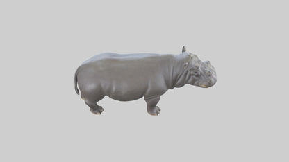 3D model Hippopotamus statue model VR / AR / low-poly