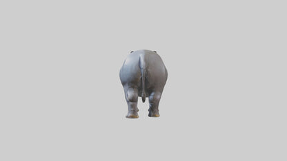 3D model Hippopotamus statue model VR / AR / low-poly