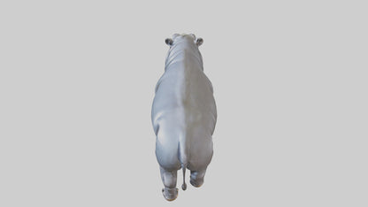 3D model Hippopotamus statue model VR / AR / low-poly