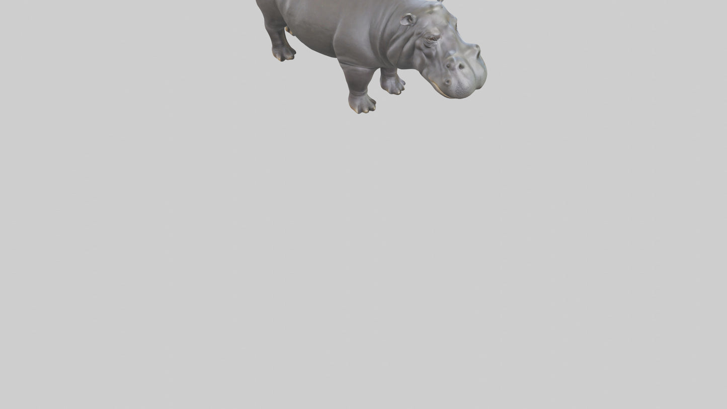 3D model Hippopotamus statue model VR / AR / low-poly