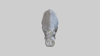 3D model Hippopotamus statue model VR / AR / low-poly