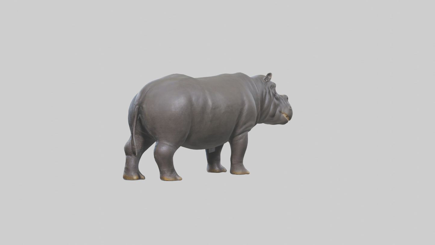 3D model Hippopotamus statue model VR / AR / low-poly