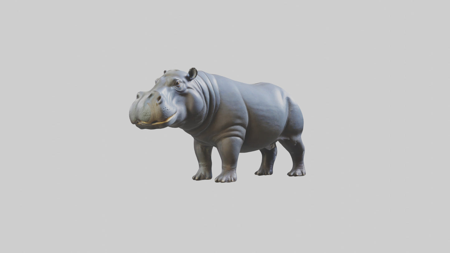 3D model Hippopotamus statue model VR / AR / low-poly