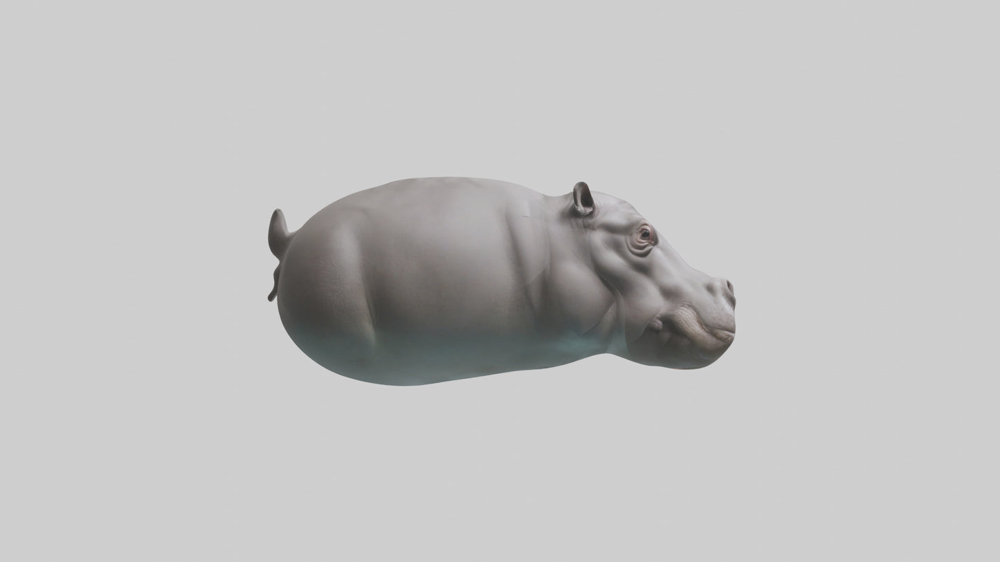 3D model Hippopotamus submerged model VR / AR / low-poly