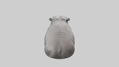 3D model Hippopotamus submerged model VR / AR / low-poly