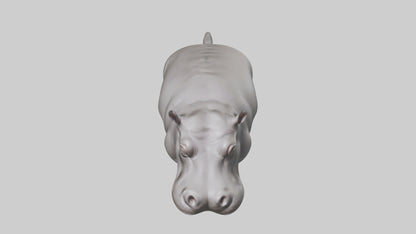 3D model Hippopotamus submerged model VR / AR / low-poly