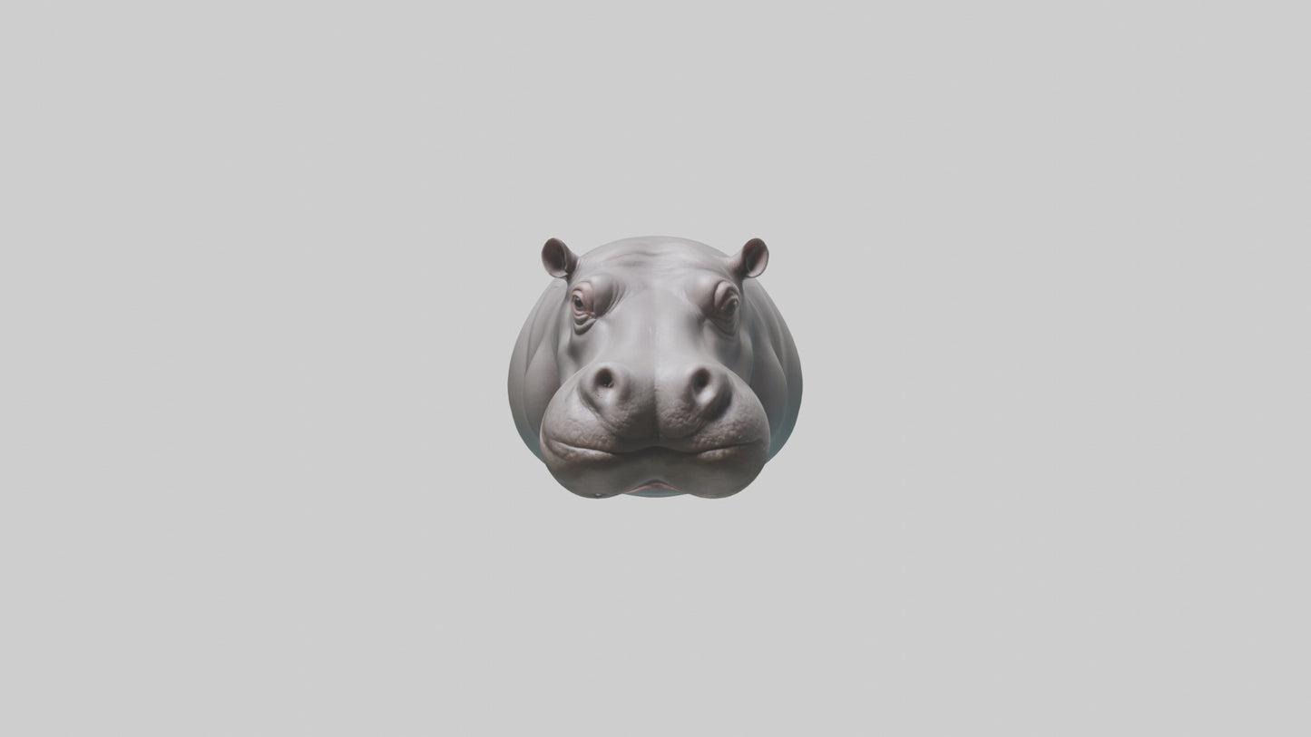 3D model Hippopotamus submerged model VR / AR / low-poly