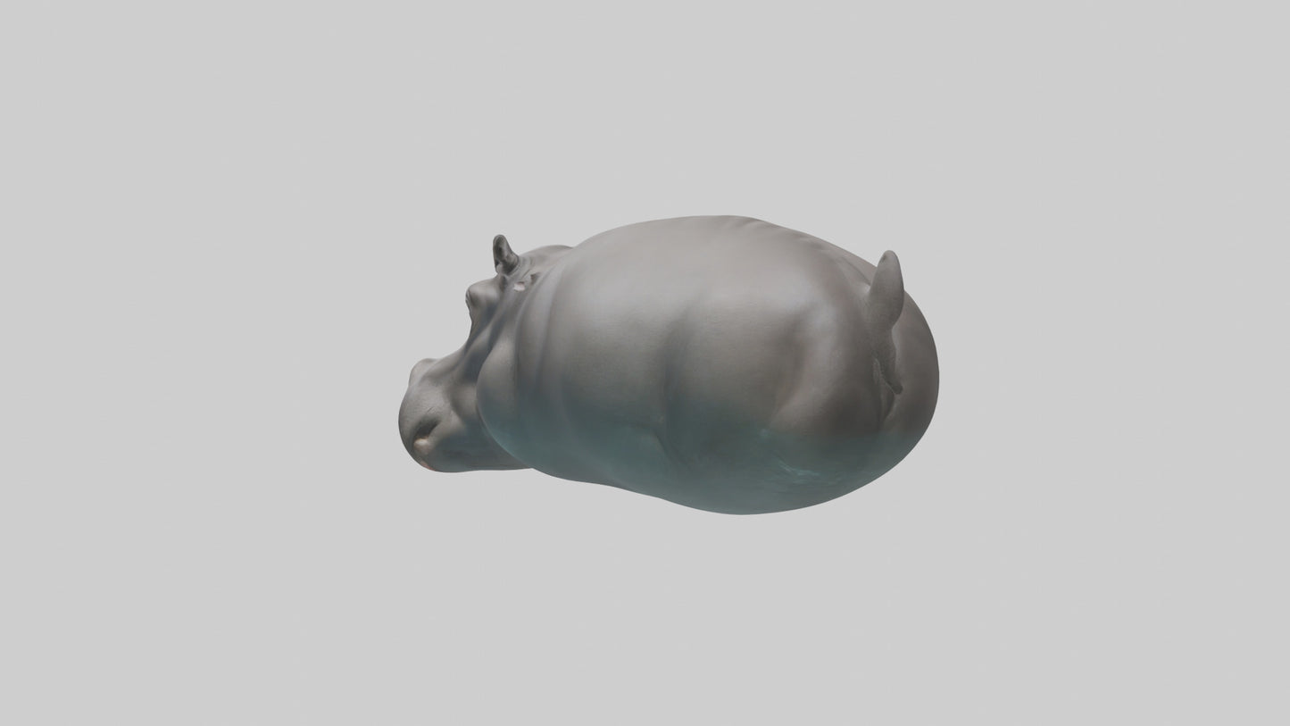 3D model Hippopotamus submerged model VR / AR / low-poly