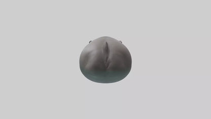 3D model Hippopotamus submerged model VR / AR / low-poly