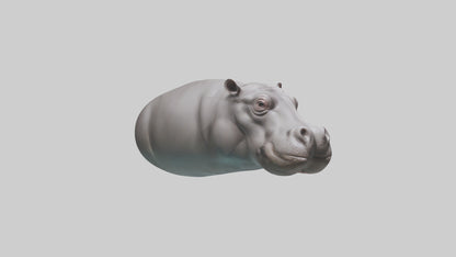 3D model Hippopotamus submerged model VR / AR / low-poly