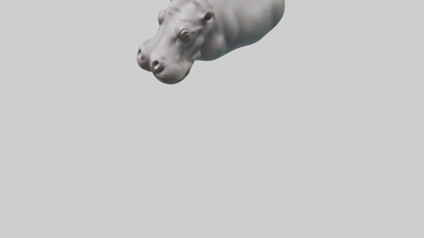3D model Hippopotamus submerged model VR / AR / low-poly