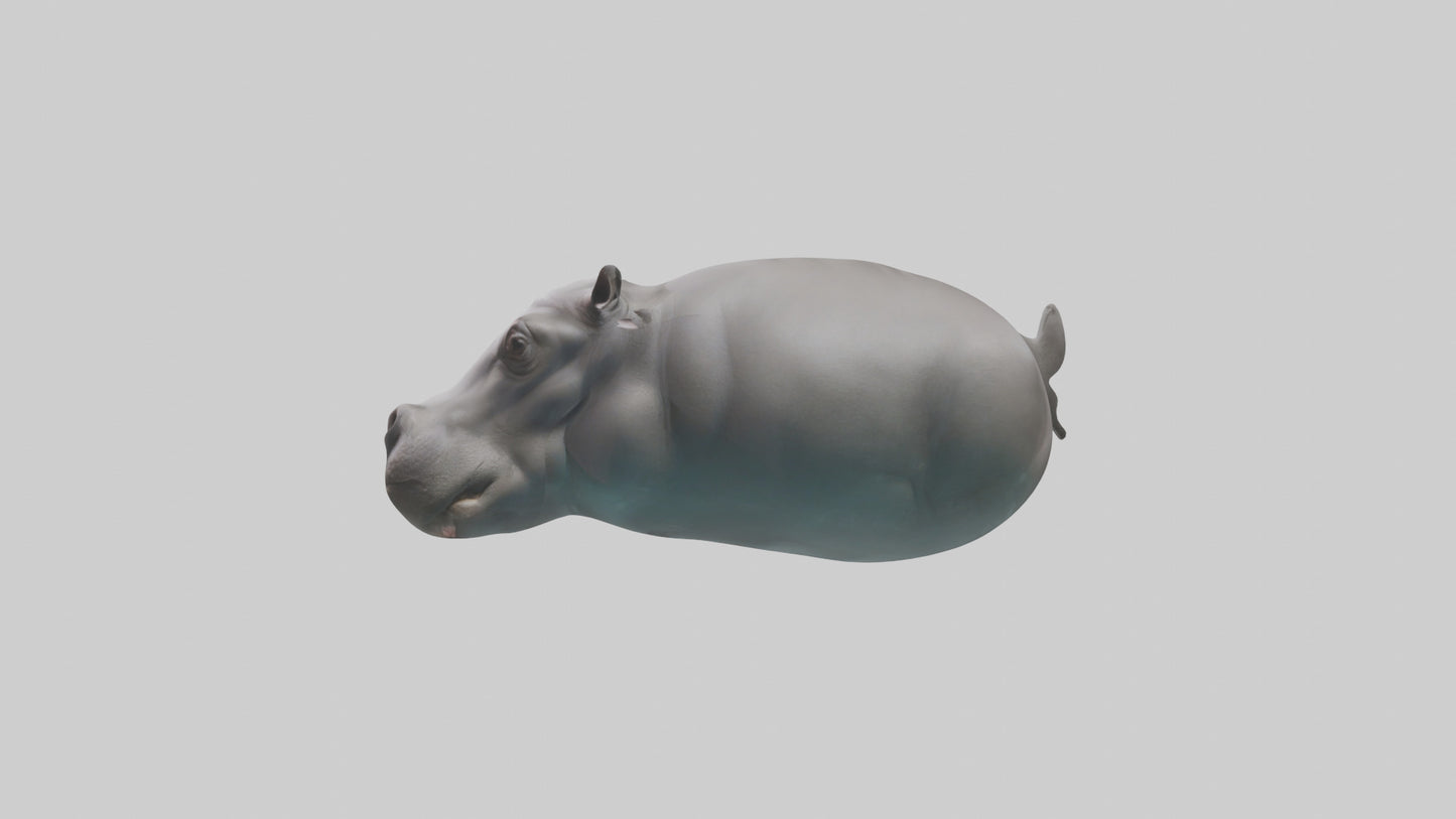 3D model Hippopotamus submerged model VR / AR / low-poly