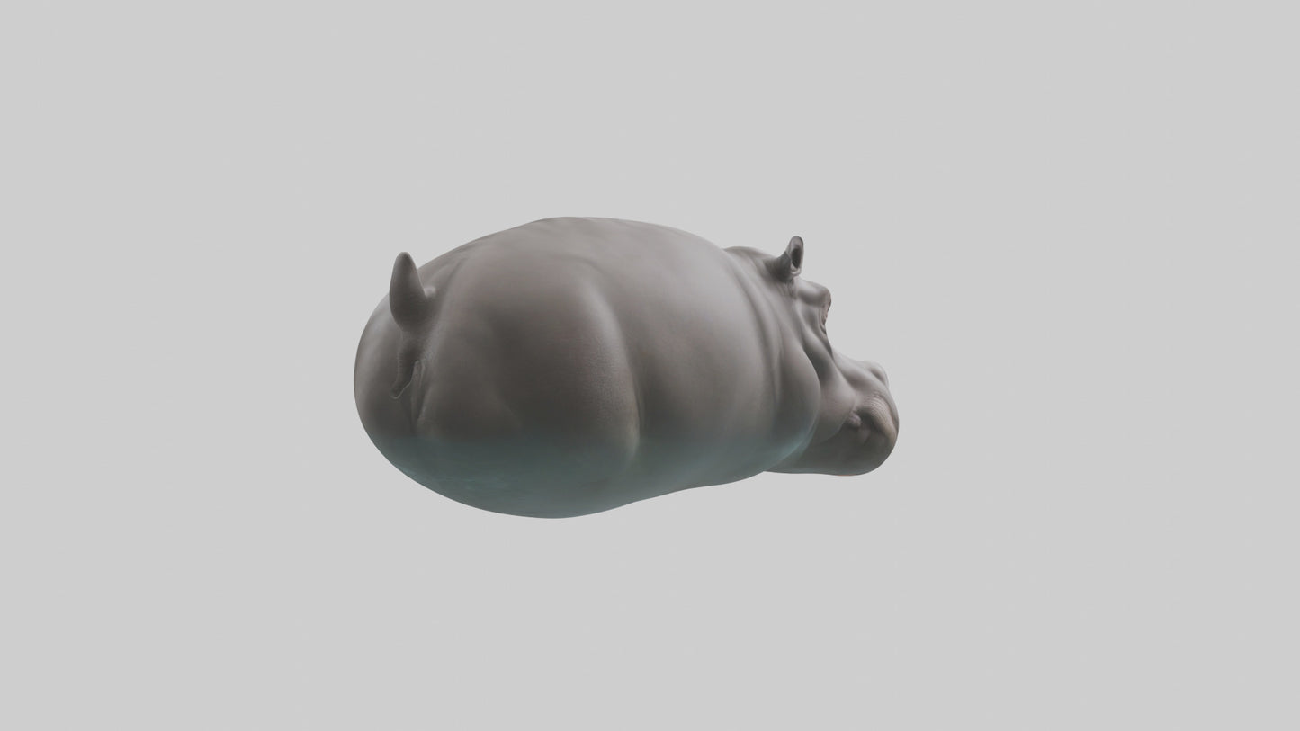 3D model Hippopotamus submerged model VR / AR / low-poly