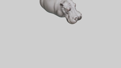 3D model Hippopotamus submerged model VR / AR / low-poly