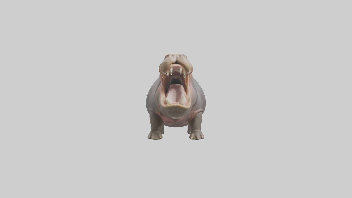 3D model Hippopotamus yawning model VR / AR / low-poly