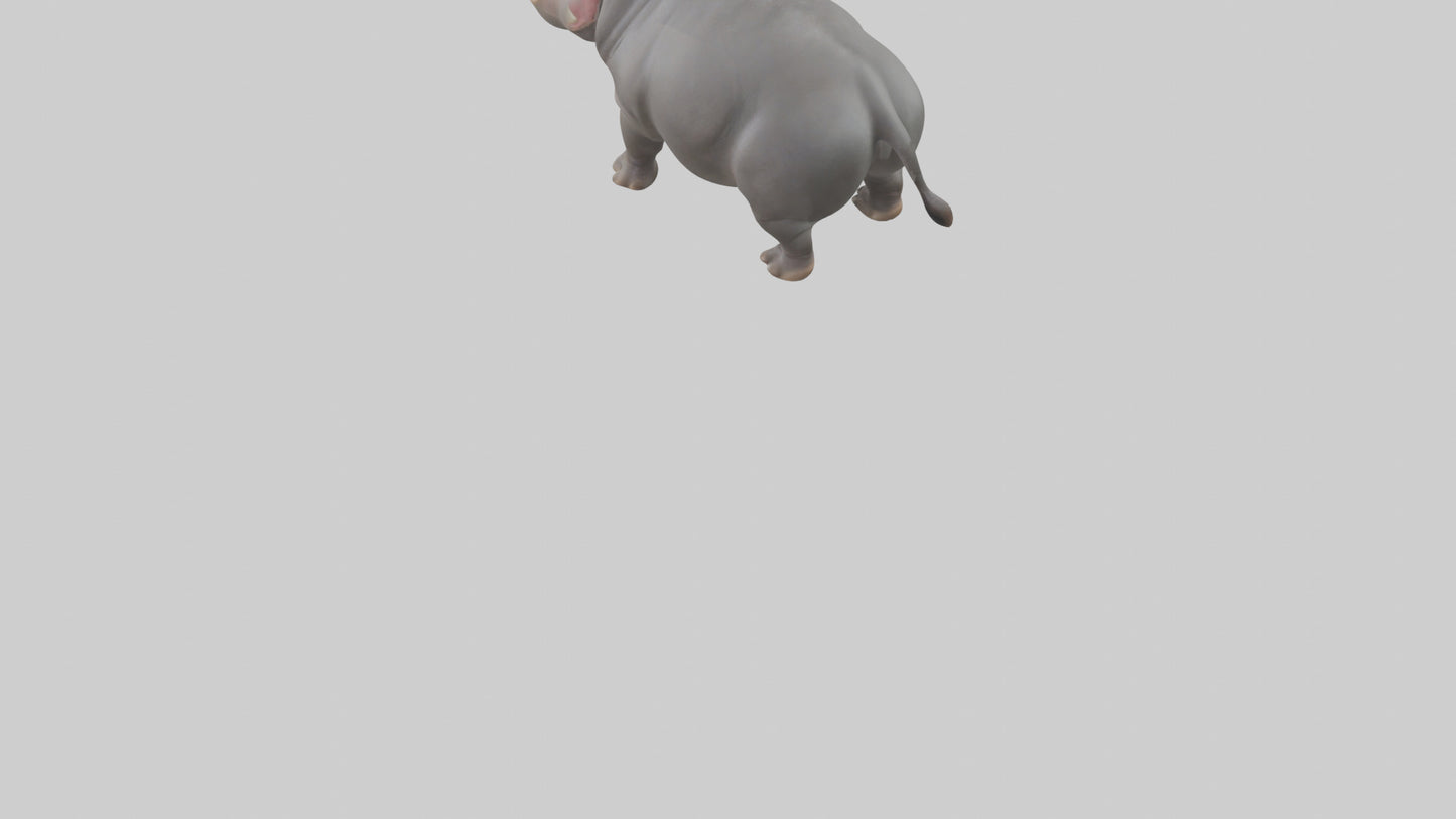 3D model Hippopotamus yawning model VR / AR / low-poly