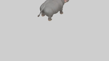 3D model Hippopotamus yawning model VR / AR / low-poly