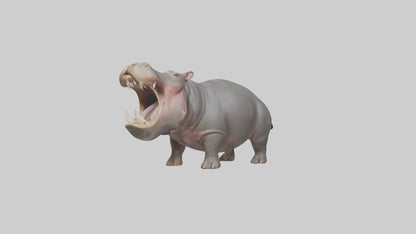 3D model Hippopotamus yawning model VR / AR / low-poly