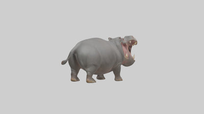 3D model Hippopotamus yawning model VR / AR / low-poly