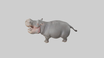 3D model Hippopotamus yawning model VR / AR / low-poly