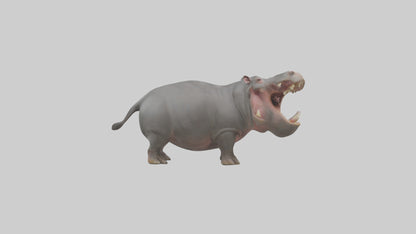 3D model Hippopotamus yawning model VR / AR / low-poly
