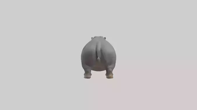 3D model Hippopotamus yawning model VR / AR / low-poly