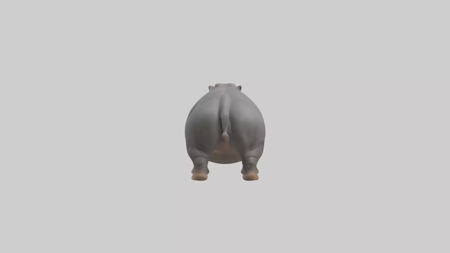 3D model Hippopotamus yawning model VR / AR / low-poly