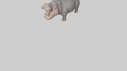 3D model Hippopotamus yawning model VR / AR / low-poly