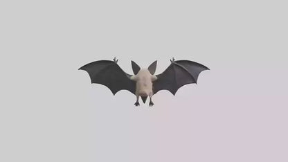 3D model Hoary Bat flying model VR / AR / low-poly
