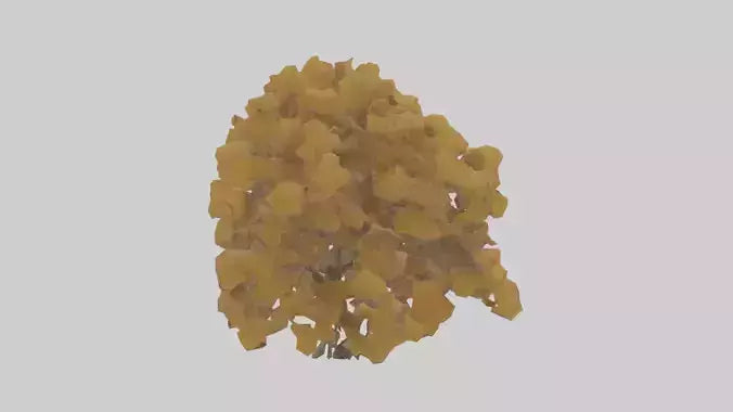 3D model Honey locust tree model VR / AR / low-poly