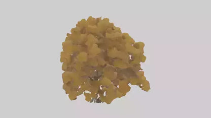 3D model Honey locust tree model VR / AR / low-poly