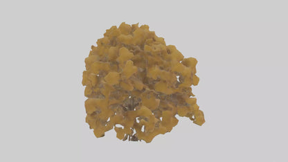 3D model Honey locust tree model VR / AR / low-poly