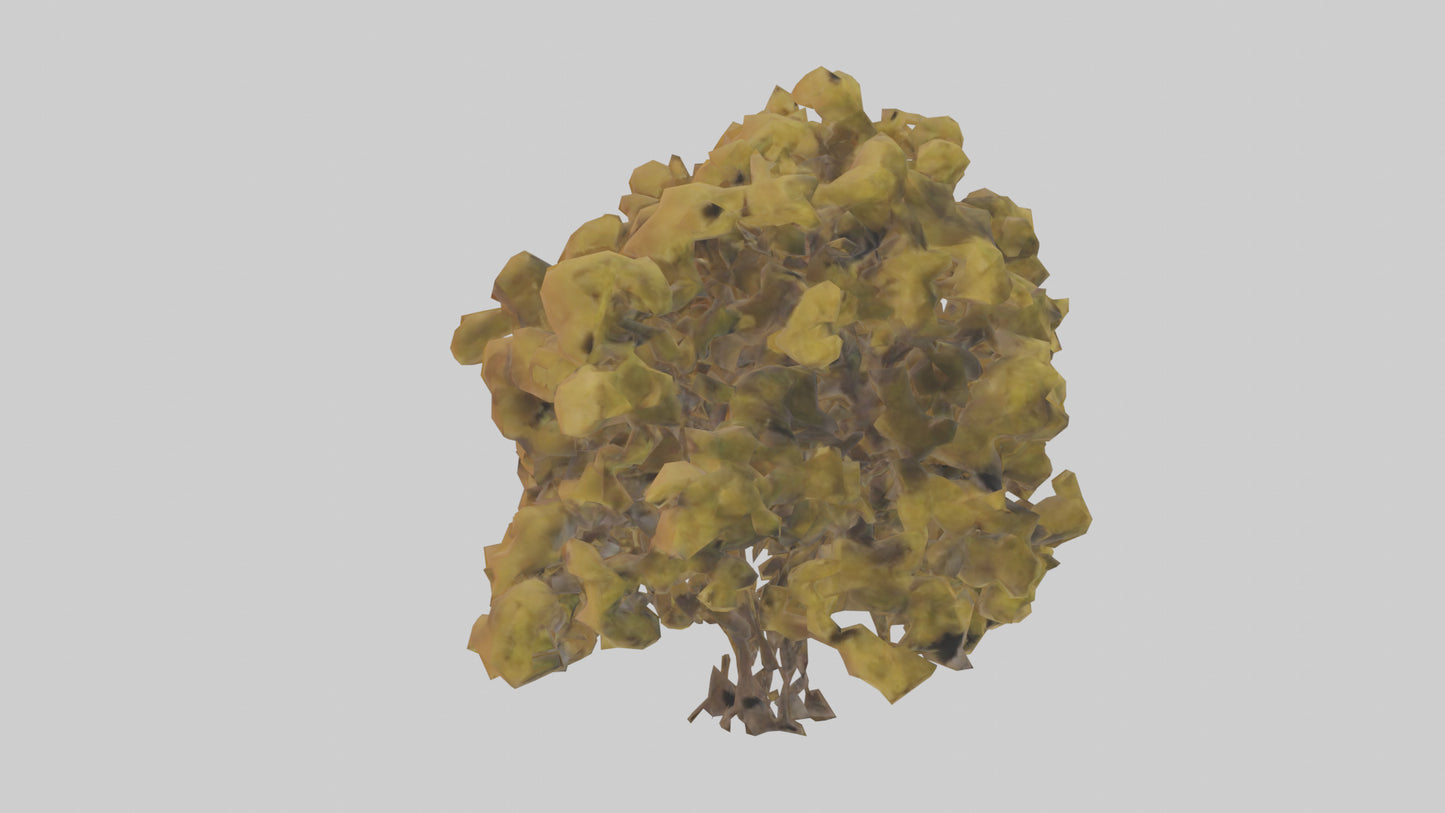 3D model Honey locust tree model VR / AR / low-poly