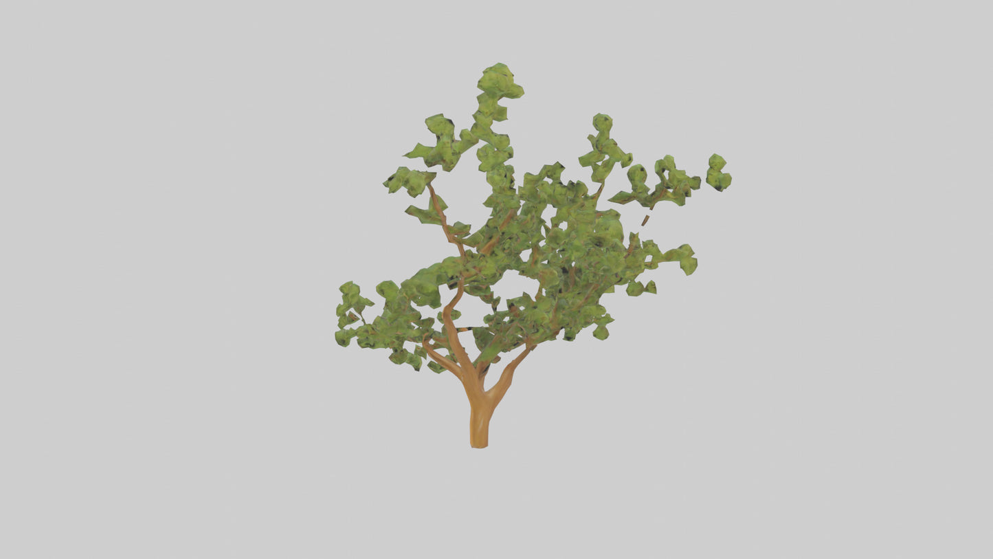 Honey Locust tree model VR / AR / low-poly