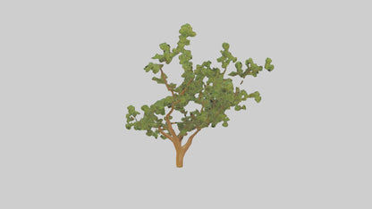 Honey Locust tree model VR / AR / low-poly