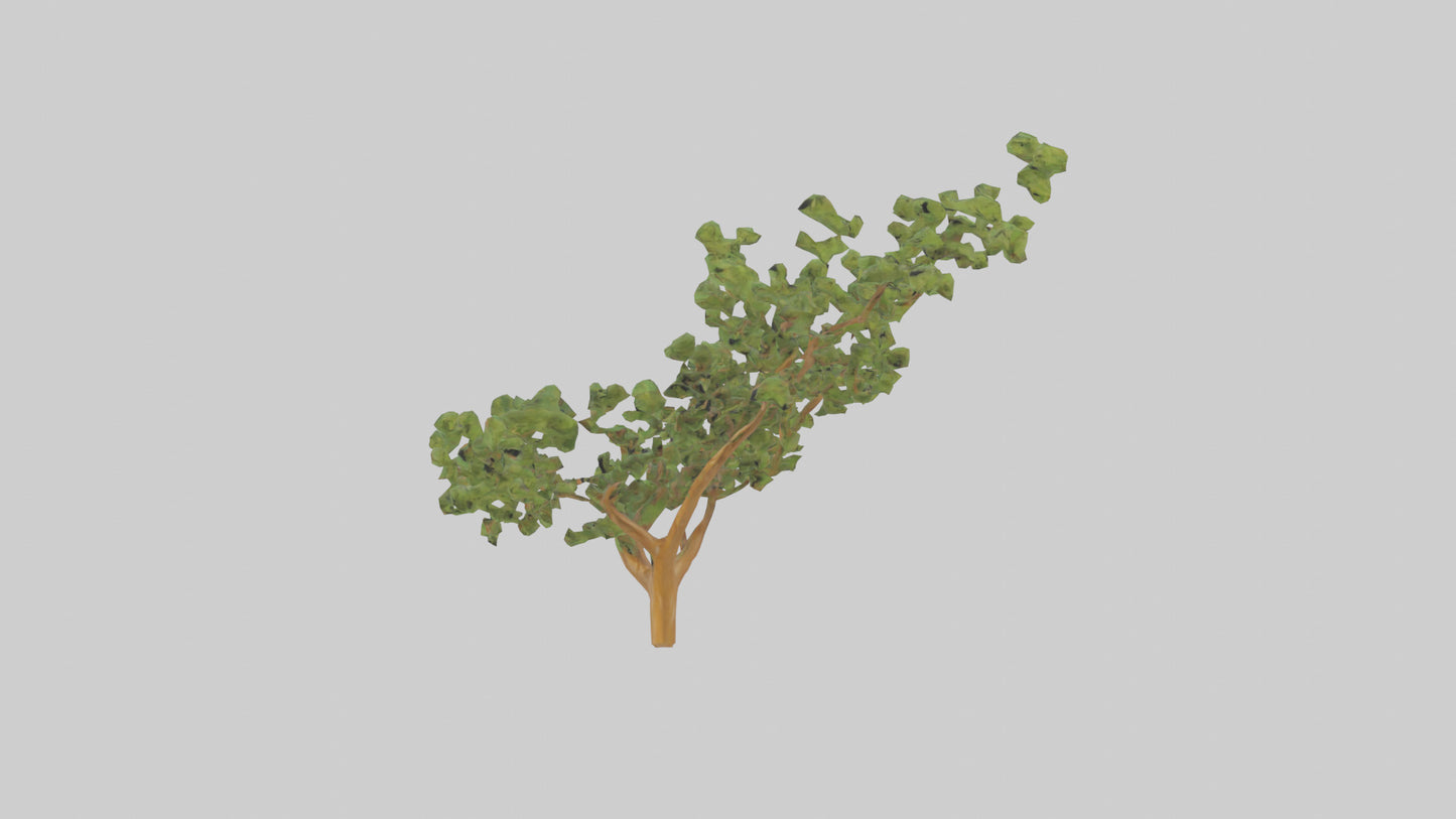 Honey Locust tree model VR / AR / low-poly