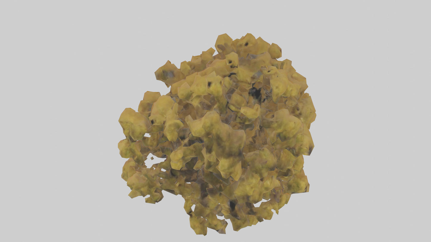 3D model Honey locust tree model VR / AR / low-poly