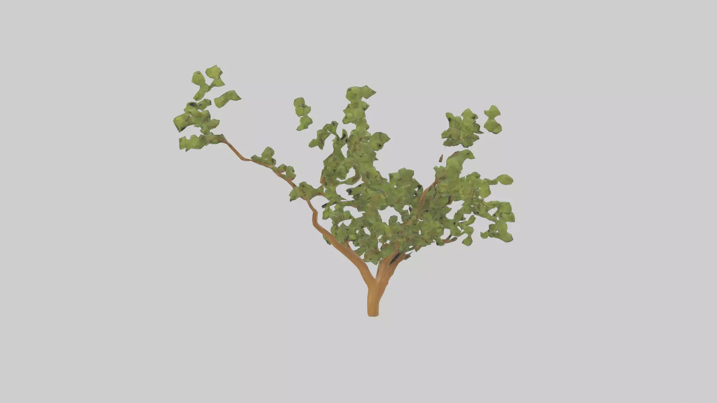 Honey Locust tree model VR / AR / low-poly