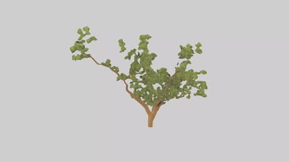 Honey Locust tree model VR / AR / low-poly