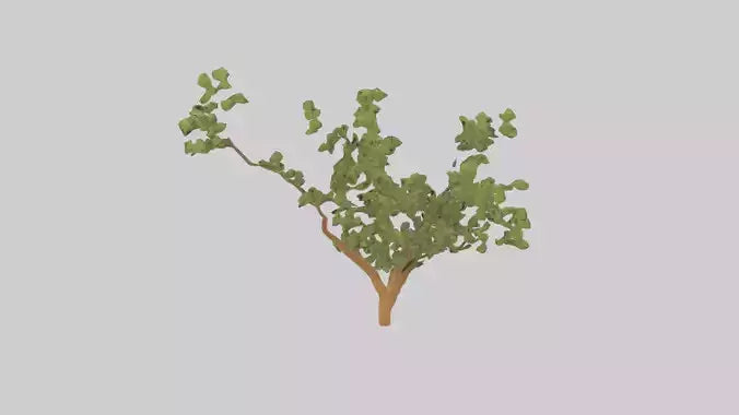 Honey Locust tree model VR / AR / low-poly