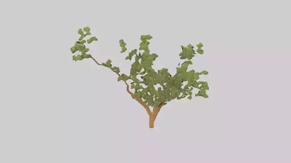 Honey Locust tree model VR / AR / low-poly