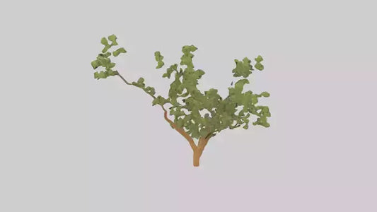 Honey Locust tree model VR / AR / low-poly