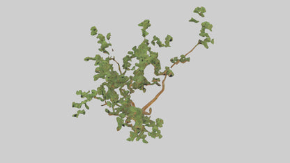 Honey Locust tree model VR / AR / low-poly