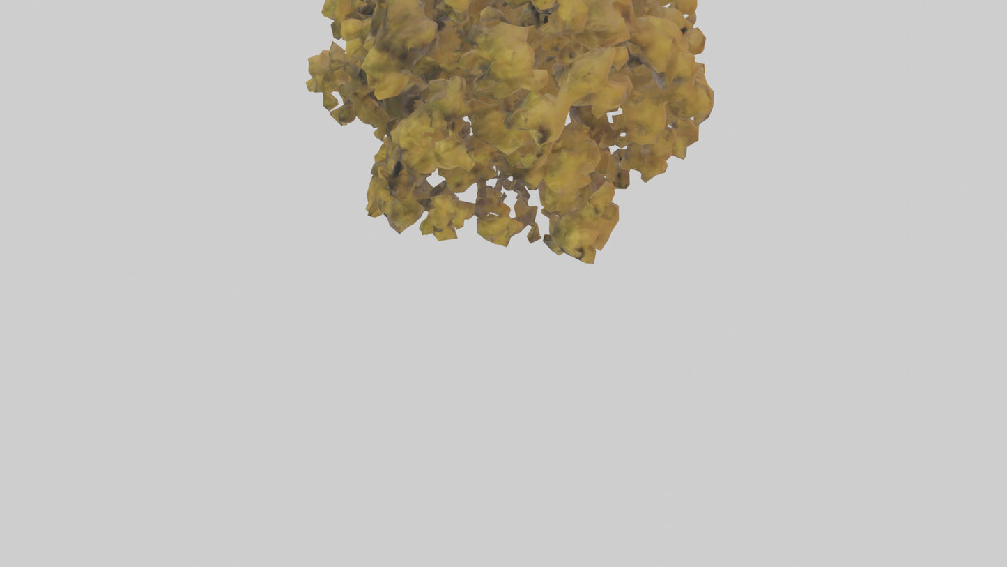 3D model Honey locust tree model VR / AR / low-poly