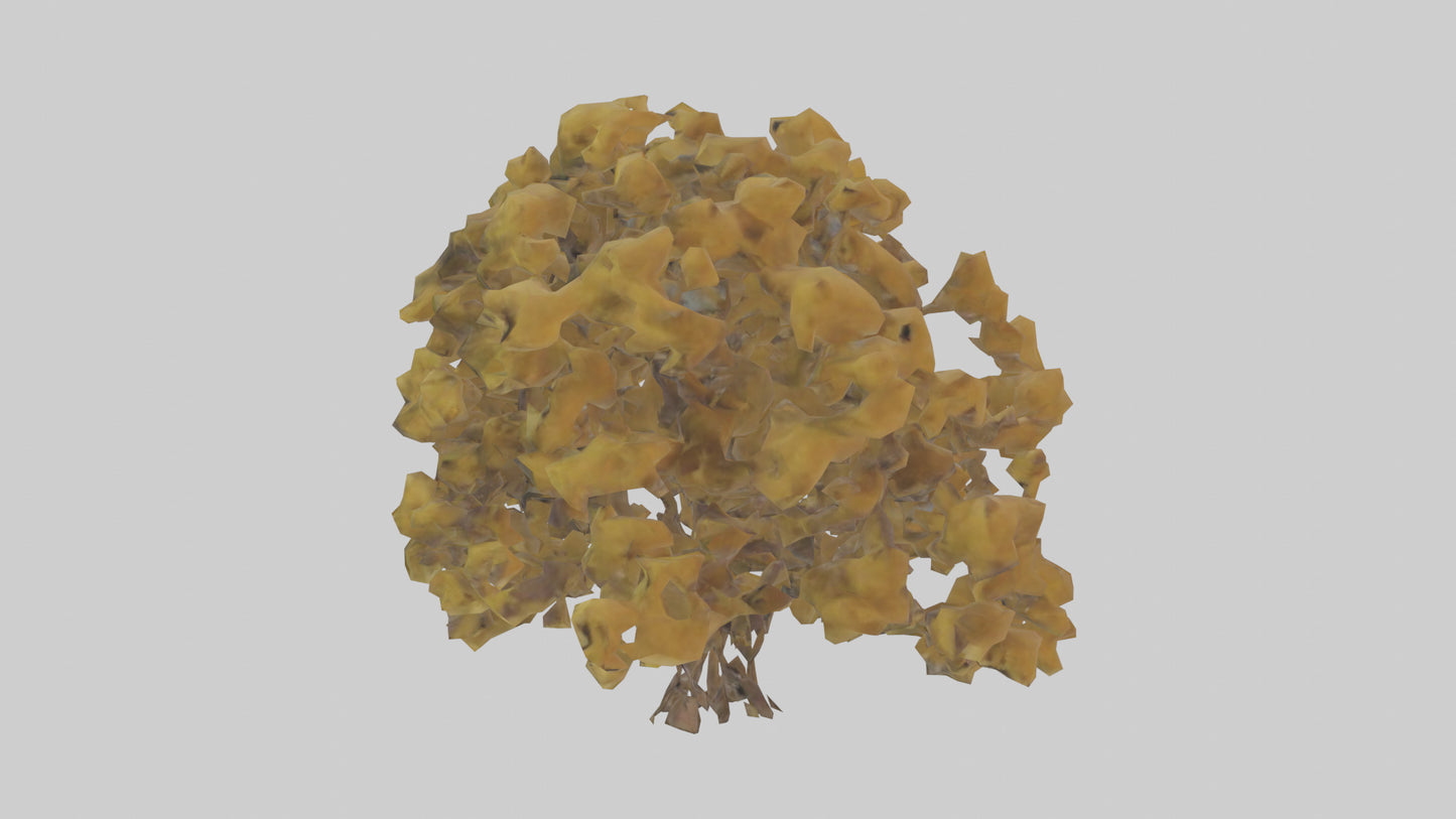 3D model Honey locust tree model VR / AR / low-poly