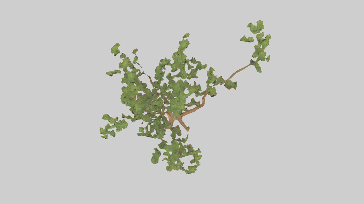 Honey Locust tree model VR / AR / low-poly